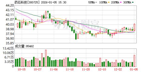 藥石科技 全球醫(yī)藥研發(fā)與制造的創(chuàng)新化學(xué)產(chǎn)品及技術(shù)服務(wù)領(lǐng)航者